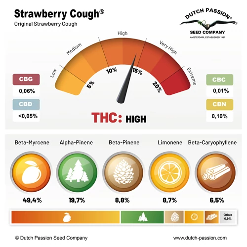 Terpenes and cannabinoids strawberry cough